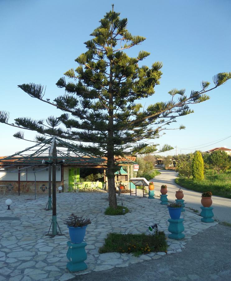 Pansion Tonia Apart otel Zakintos Dış mekan fotoğraf